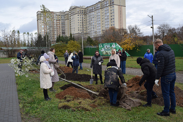 В Ивановском зоопарке заложена аллея серебристых тополей